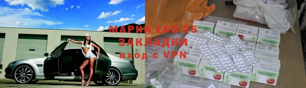 стаф Магас