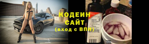 стаф Магас