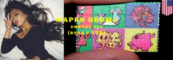 стаф Магас